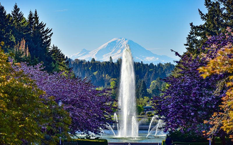 University of Washington campus